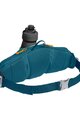 CAMELBAK bubreg torbica - PODIUM FLOW 2 - plava