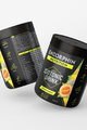 ENDORPHIN NUTRITION Piće - ISO DRINK CANTALOUPE 500gr